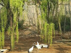 -石家庄市动物园