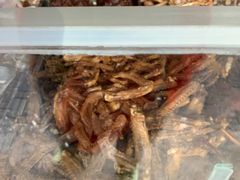 -杨震卤菜旗舰店