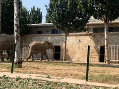 -石家庄市动物园