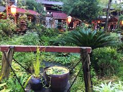 -青城甲(青城山店)