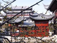 -岳辰齿科(浦东长泰店)