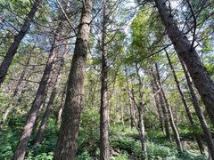 -白草畔自然风景区