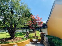 -龙华寺