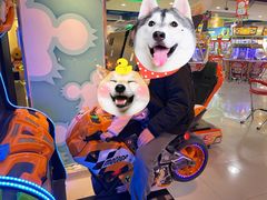 -汤姆熊欢乐世界(光启城店)