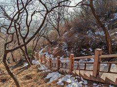 -香山公园