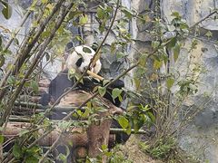 -泉州海丝野生动物世界