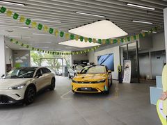 -上海浦东smart汽车全功能店(金桥店)