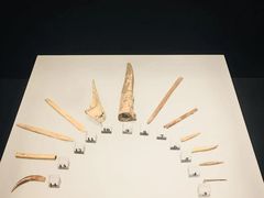 -上海崧泽遗址博物馆