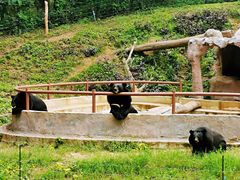 -清迈夜间动物园