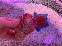 -沈阳海洋探索中心