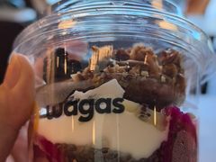 -Wagas沃歌斯(汇智店)