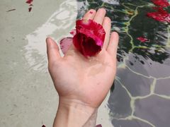 -海兰云天度假区温泉