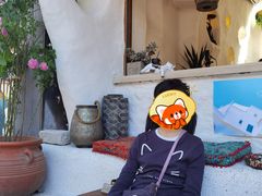 -Sirena海妖日咖夜酒