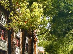 -J Create城市露营咖啡·简餐·宠物(上海动物园店)