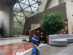 -深圳大梅沙京基洲际度假酒店