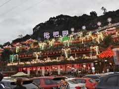 -枇杷园食为鲜火锅(南山店)
