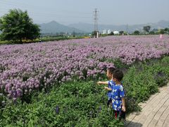 -君乐宝优致牧场
