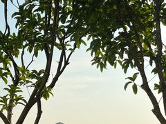 -聚汇三少·龙虾·中餐厅(莫邪路新天地店)