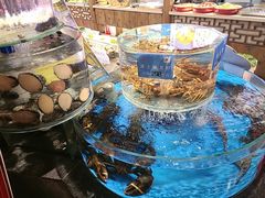 -乔家小院•非遗驴肉•本地小海鲜(滨河路店)