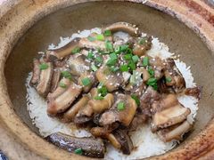 招牌黄鳝煲仔饭-红星光发煲仔饭(大石街店)