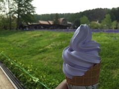-富田农场