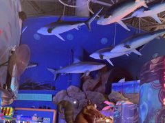 -烟台海昌鲸鲨海洋公园