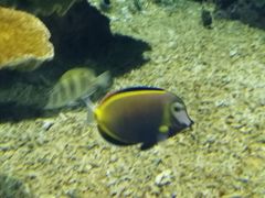 -福州罗源湾海洋世界旅游区