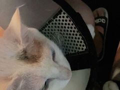 -Doors独立剧情密室(东门分店)