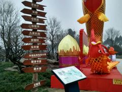 -秀丽东方