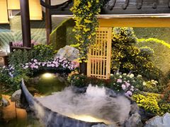 -杭州植物园