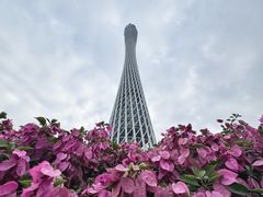 -广州塔