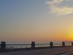 -合肥滨湖国家森林公园