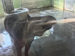 -石家庄市动物园