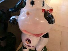 群光门面-一只酸奶牛(东方广场店)