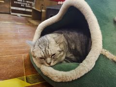 -H立方实景剧情密室(天河旗舰店)