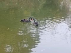 -水绘园