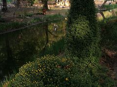 -上海共青森林公园