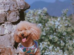 -蟠龙山长城景区