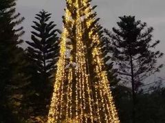 -福建鲤鱼洲酒店