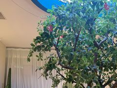 -悦海·家宴·冰花皮皮虾大锅贴(宝龙店)