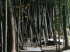 -金水泊山庄·花椒鸡(铁山坪店)