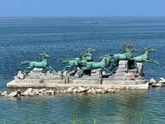 -养马岛旅游度假区