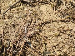 -天津盘山风景名胜区