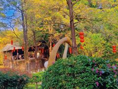 -森波拉火山温泉