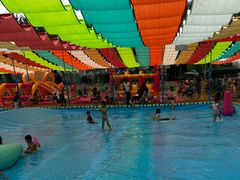 -莲花池公园