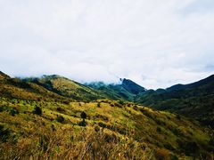 -炎陵县神农谷国家森林公园