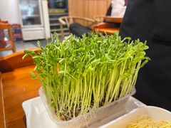 -廣順興(兴华路店)
