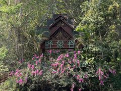 -野象谷景区