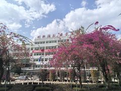 -攀枝花公园