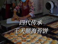 -王天顺海苔饼